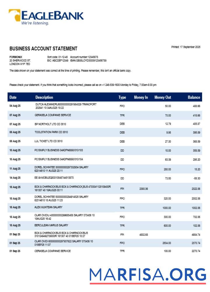 Realistic Eagle company checking account statement Word and PDF template (1)